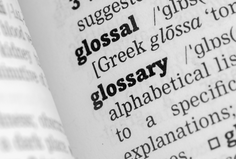 Definition of glossary in the dictionary